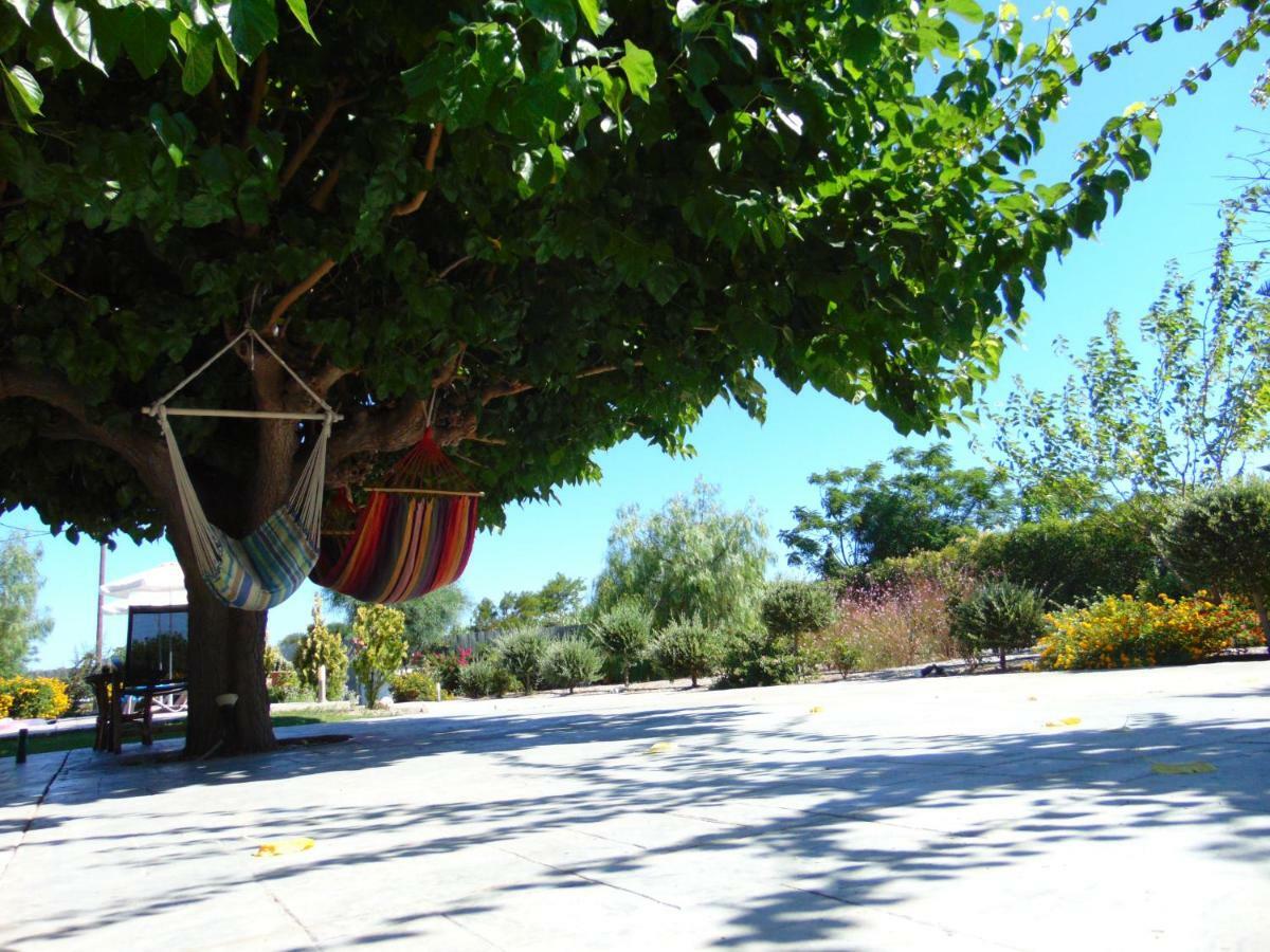 Villa Dora Faliraki Esterno foto